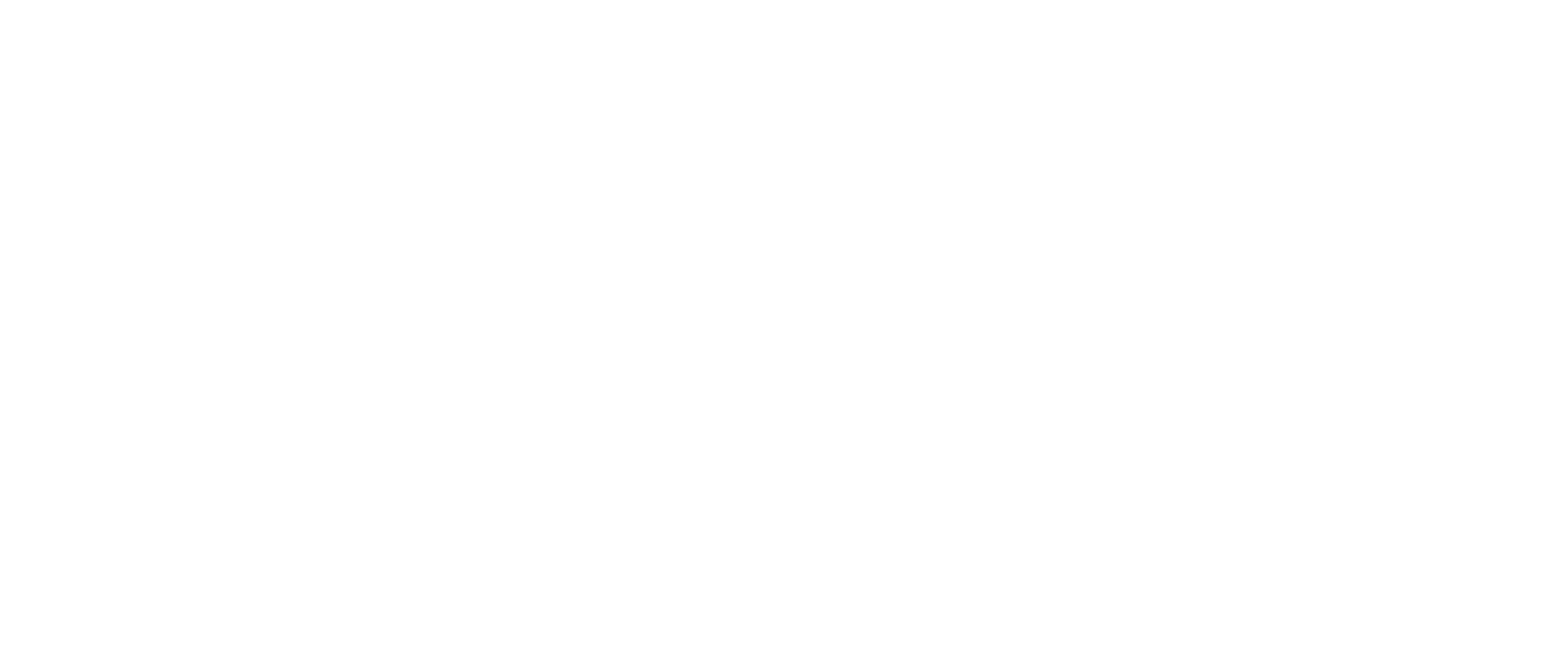 Rapidex Fibra